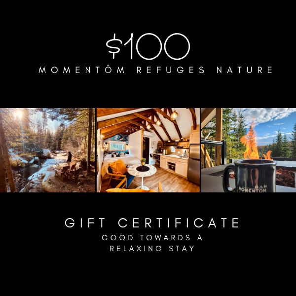 gift certificate 100$