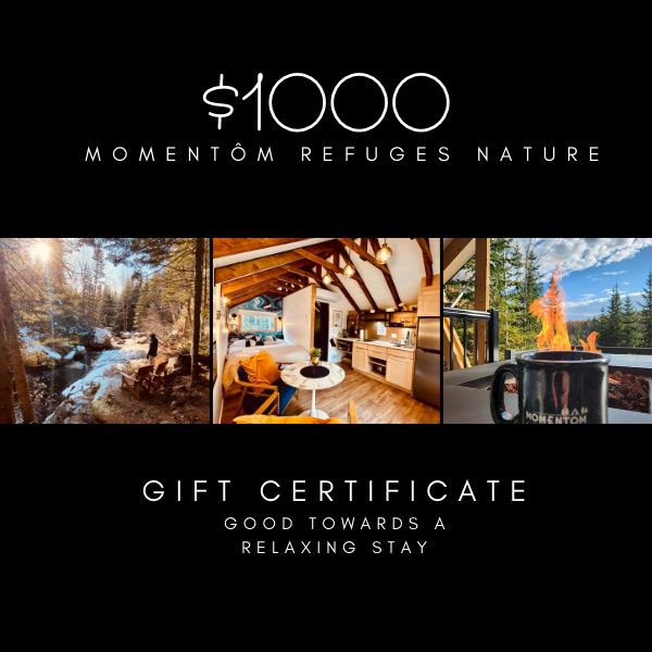 gift certificate 1000$