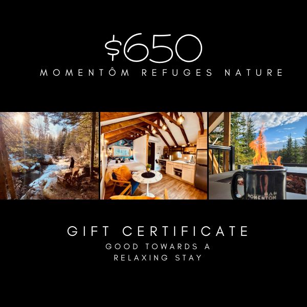 gift certificate 650$